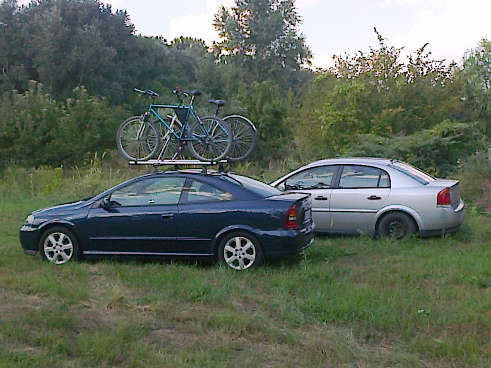 Coupe&Vectra
