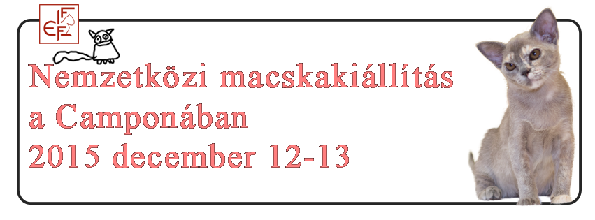 2015_campona_macskakiallitas.png.558cb6d