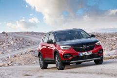 opel_grandland_x_hybrid4_4.jpeg