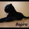 Bagira